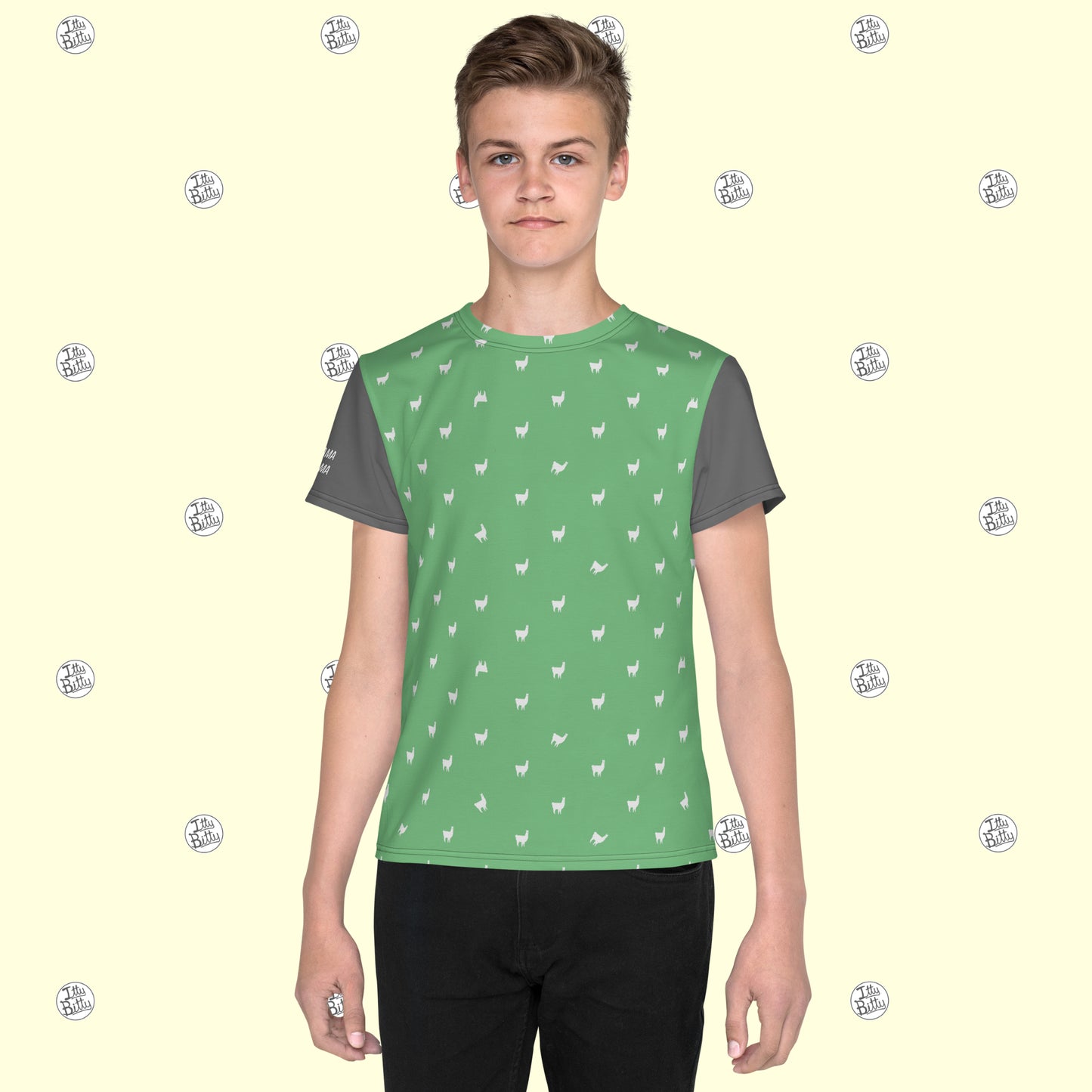 Drama Llama - Tshirt - Youth/Unisex