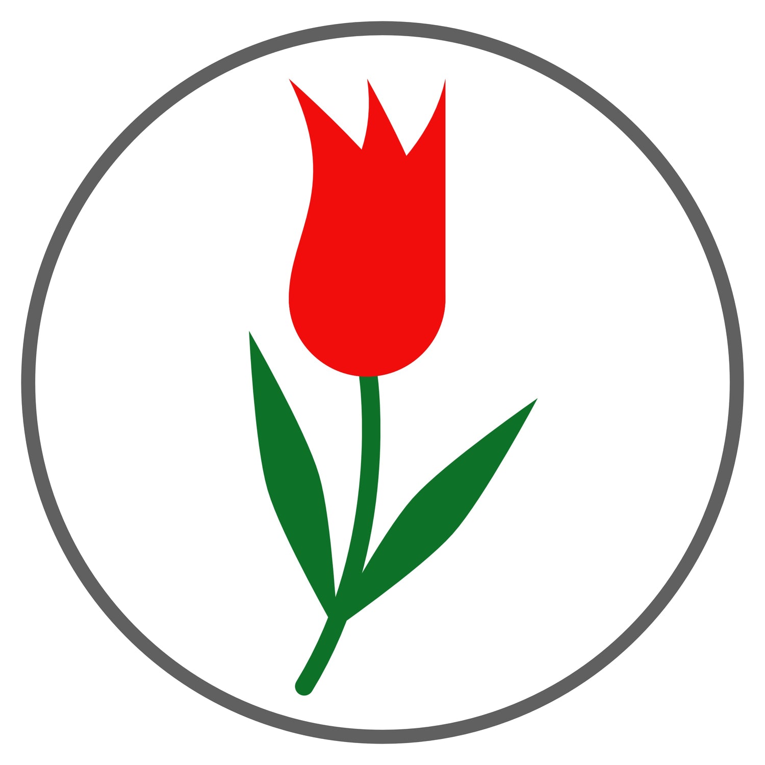 May Flowers